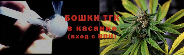 mdpv Ельня
