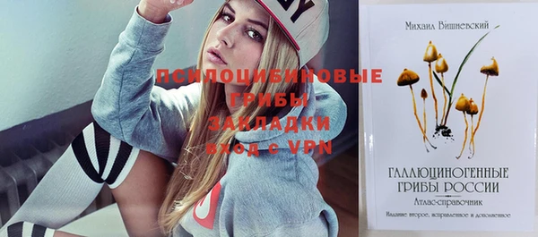 mdpv Ельня